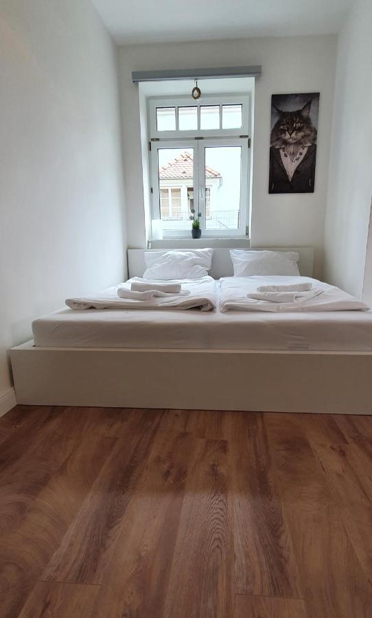 Pineapple Apartments Dresdner Heide Mit Garten Drezno Zewnętrze zdjęcie